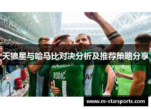 天狼星与哈马比对决分析及推荐策略分享
